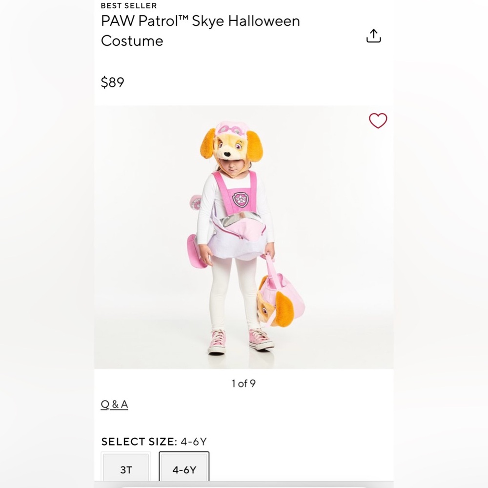 PAW Patrol Skye Halloween Costume Size Small Child